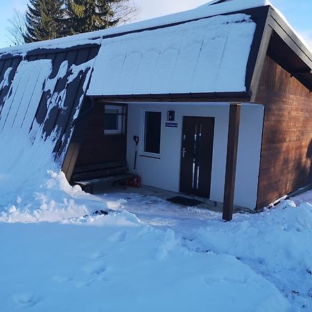 Guesthouse Danuta Sklářská Poruba Exteriér fotografie